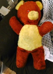 old bear